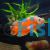 Albino Red Oscar