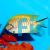 Female Black Spot Angelfish