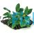 Medium Driftwood - Anubias Paco