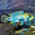 Apistogramma Panduro 