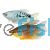 Assorted Gourami 