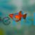 Assorted Balloon Platy