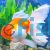Assorted Oranda Select
