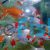 Assorted Wakin 8cm
