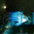Balloon Electric Blue Longfin Ram