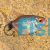 Balloon Red Eye Tetra Lampeye 