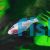 Blind Cave Tetra - Astyanax jordani 