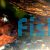Blue Shrimp - Mixed Grade 1-2cm 