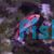 Blue Throated Fairy Wrasse