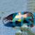 Hogfish - Coral Adult 