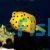 Boxfish Yellow 