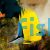 Butterflyfish Yellow Longnose Forcipiger flavissimus