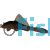 Chocolate Plecostomus Catfish