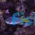 Damselfish Coral 