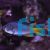 Damselfish Coral