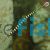 Ringed Pipefish - Medium 
