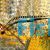 Ringed Pipefish 