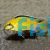 Electric Yellow Australian Bred