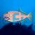 Female Triggerfish Blue Jaw Med