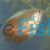 Male Flame Dwarf Gourami