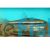 Glittering Pencilfish