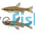 Glittering Pencilfish 3cm