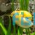 Gold Mystery Snail - Jumbo 