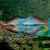 Goyder River Rainbow