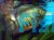 Green Severum 7cm