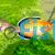 Empire Gudgeon