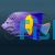 Half Moon Angelfish - Medium 
