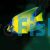 Blue Angelfish (Adult)