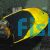 Rock Beauty Angelfish - Medium