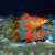 Mickey Mouse Red Platy 