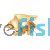 Crab Land Hermit -