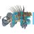 LionFish Volitans Black 