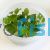 Lobelia Cardinalis - Tissue Culture