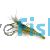 Long Armed Freshwater Shrimp