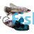 Male Betta Select Plakat Monster 4cm