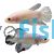 Male Betta Shortfin Cellophane