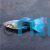 Male Blue Neon Guppy