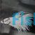 Male White Crowntail Betta
