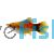 Mickey Mouse Apple Platy