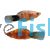 Mickey Mouse Tiger platy