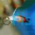 Fire Dartfish Goby