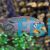 Neon Jewel Cichlid