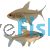 Orange-Red Lemon Tetra