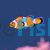 Clownfish Orange & White - Small