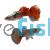 Pair Elephant Ear Mogano Red Guppy