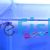 Pair Red Lace Guppy 